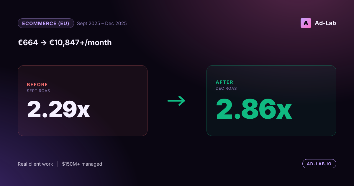 From €0 to €31K/month with no efficiency decay - case study cover